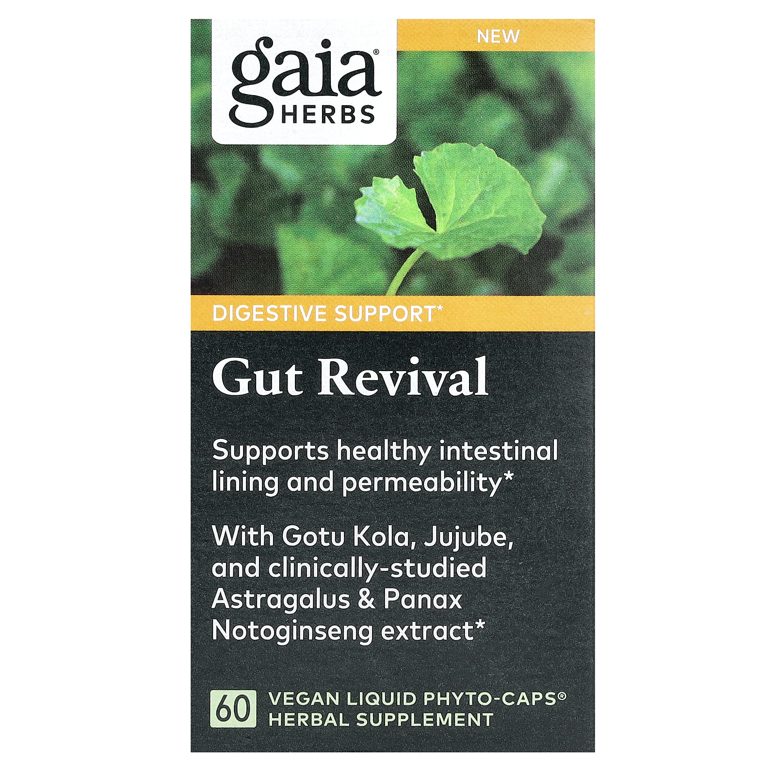 Gaia Herbs, Gut Revival, средство для восстановления кишечника, 60 веганских капсул с фитокапсулами
