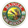 Badger Company, мазь от боли в мышцах, органический состав, с кайенским перцем и имбирем, 56 г (2 унции) - картинка 0