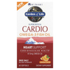 Minami Nutrition, Supercritical Cardio, рыбий жир с омега-3, апельсиновый вкус, 915 мг, 60 капсул - картинка 0