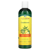 Organix South, TheraNeem Organix, кондиционер для кожи головы, Neem, лимон и мята 12 жидких унции (360 мл) - картинка 0