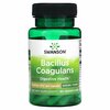 Swanson, Bacillus Coagulans, 6 млрд КОЕ, 60 растительных капсул - картинка 0