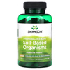 Swanson, Почвенные организмы, смесь Dynamic Balance, 5 млрд КОЕ, 90 растительных капсул - картинка 0