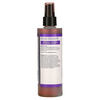 Carol's Daughter, Black Vanilla, Moisture & Shine System, Увлажняющий несмываемый кондиционер, для сухих, тусклых и ломких волос, 8 жидких унций (236 мл) - картинка 1