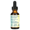 Flower Essence Services, Олива, Цветочная Эссенция 1 жидких унции (30мл) - картинка 1