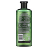 Herbal Essences, Bio: Renew, увлажняющий шампунь, мед и витамин B, 400 мл (13,5 жидк. унции) - картинка 1