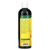 Organix South, TheraNeem Naturals, Scalp Therapé – состав для кожи головы, шампунь, 360 мл (12 жидких унций) - картинка 1