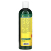 Organix South, TheraNeem Organix, кондиционер для кожи головы, Neem, лимон и мята 12 жидких унции (360 мл) - картинка 1