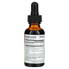 Planetary Herbals, Ayurvedics, куркума полного спектра действия, 29,57 мл (1 жидк. унция) - картинка 1