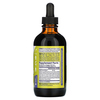 Zand, Immunity, Insure Herbal, травяной экстракт, 118 мл (4 жидк. унции) - картинка 1