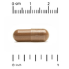 California Gold Nutrition, EuroHerbs, экстракт мелиссы лекарственной, европейское качество, 500 мг, 180 вегетарианских капсул - картинка 2