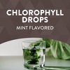 Nature's Way, Chlorofresh, капли с хлорофиллом, мята, 59 мл (2 жидк. Унции) - картинка 3