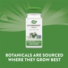 Nature's Way, очанка, 560 мг, 100 веганских капсул (280 мг в 1 капсуле) - картинка 3