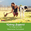 NOW Foods, Pets, поддержка почек для собак и кошек, 119 г (4,2 унции) - картинка 3